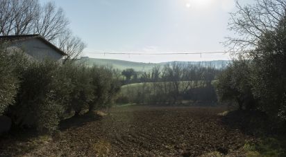 Terreno agricolo di 29.920 m² in Filottrano (60024)