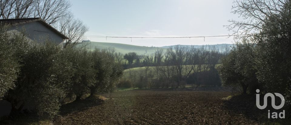 Agricultural land of 29,920 m² in Filottrano (60024)
