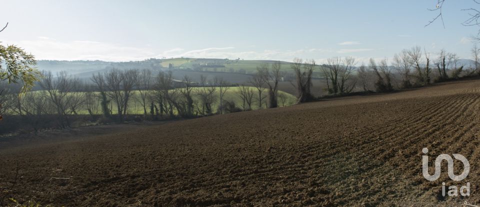 Terreno agricolo di 29.920 m² in Filottrano (60024)