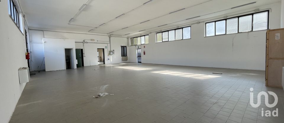 Warehouse of 550 m² in Civitanova Marche (62012)