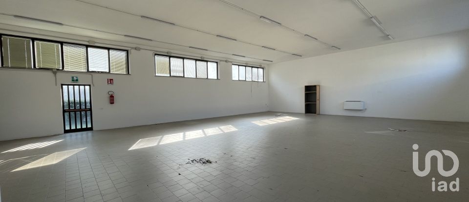 Capannone di 550 m² in Civitanova Marche (62012)