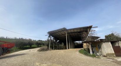 Casa indipendente / Villa 7 locali di 233 m² in Monte San Pietrangeli (63815)