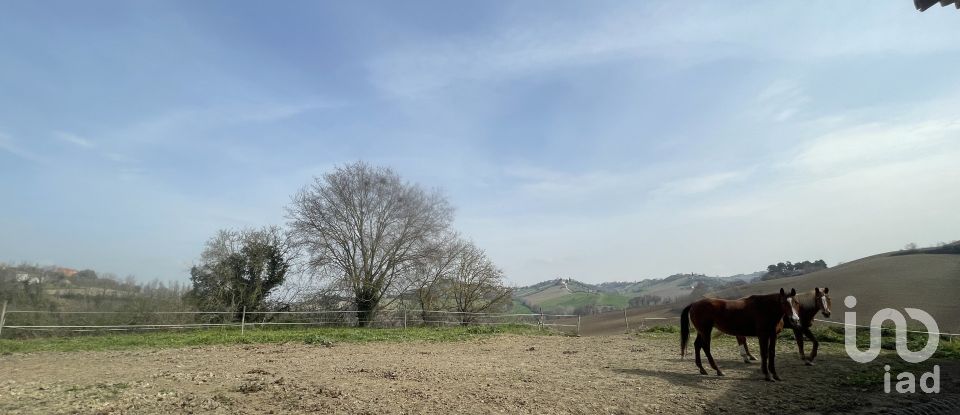 Casa indipendente / Villa 7 locali di 233 m² in Monte San Pietrangeli (63815)