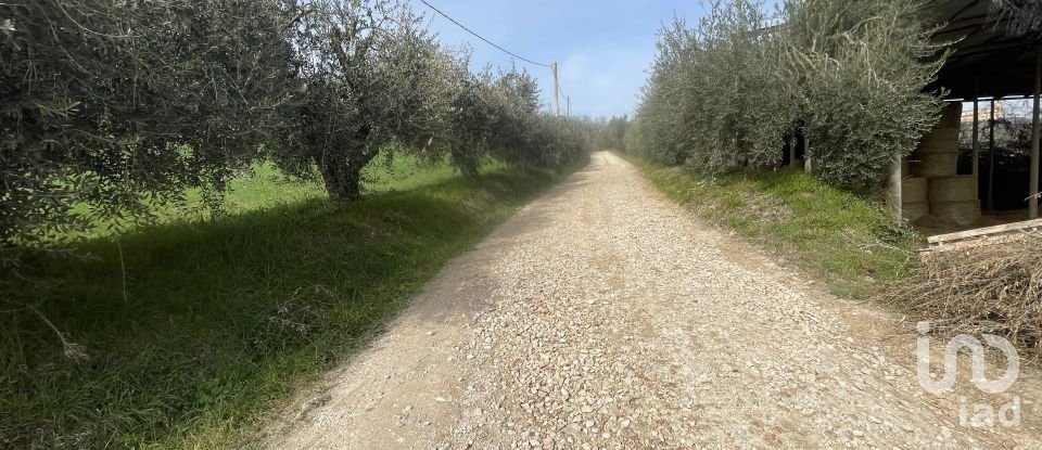 Casa indipendente / Villa 7 locali di 233 m² in Monte San Pietrangeli (63815)