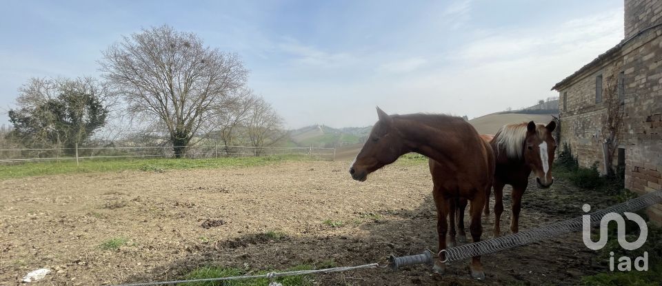 Casa indipendente / Villa 7 locali di 233 m² in Monte San Pietrangeli (63815)