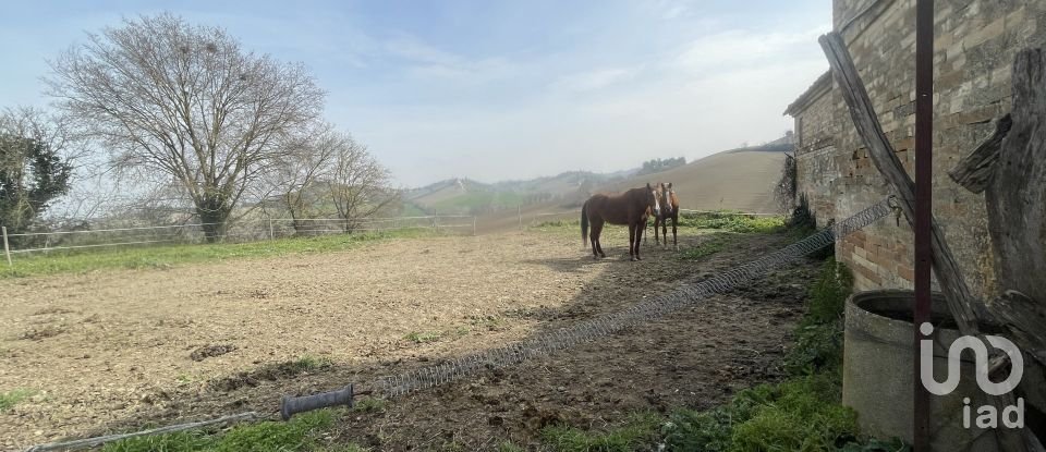 Casa indipendente / Villa 7 locali di 233 m² in Monte San Pietrangeli (63815)