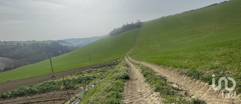 Casa indipendente / Villa 7 locali di 233 m² in Monte San Pietrangeli (63815)