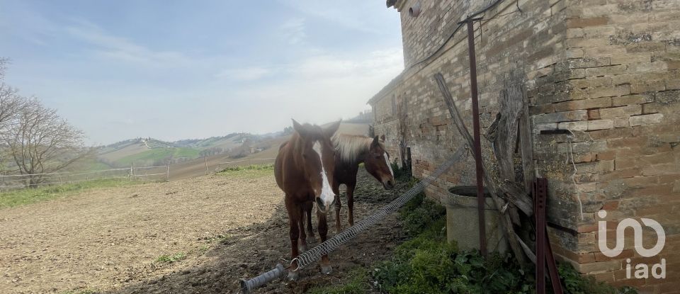 Casa indipendente / Villa 7 locali di 233 m² in Monte San Pietrangeli (63815)