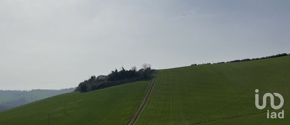 Casa indipendente / Villa 7 locali di 233 m² in Monte San Pietrangeli (63815)