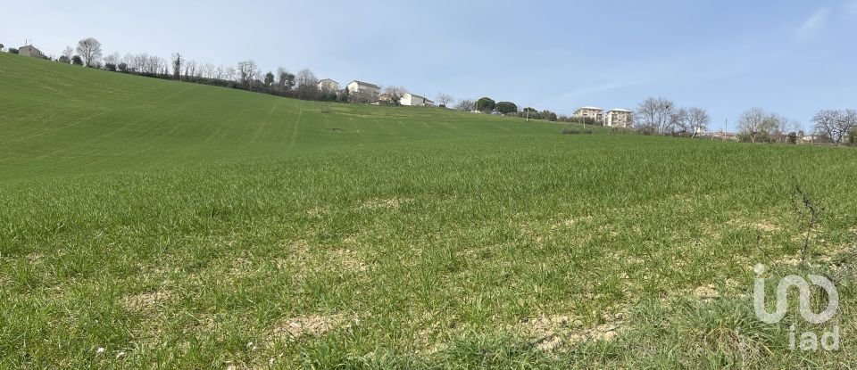 Casa indipendente / Villa 7 locali di 233 m² in Monte San Pietrangeli (63815)