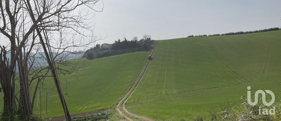 Casa indipendente / Villa 7 locali di 233 m² in Monte San Pietrangeli (63815)