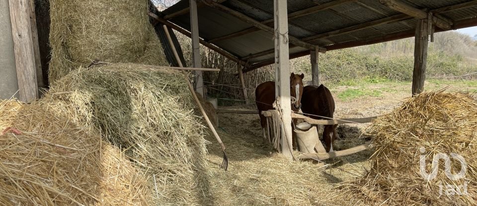 Casa indipendente / Villa 7 locali di 233 m² in Monte San Pietrangeli (63815)