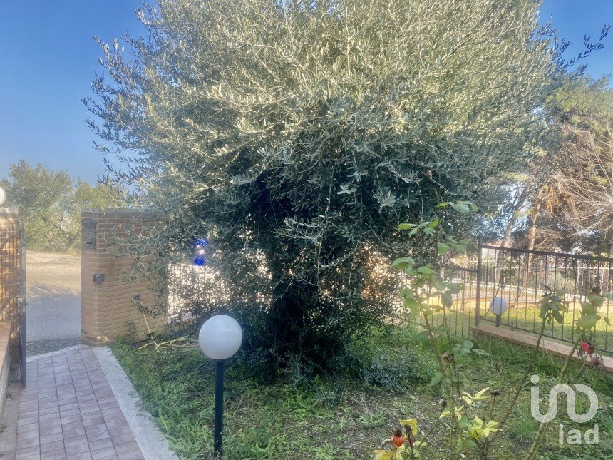 Casa indipendente / Villa 6 locali di 280 m² in San Benedetto del Tronto (63074)