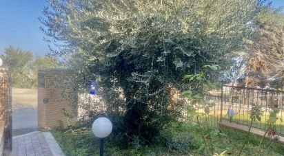 Casa indipendente / Villa 6 locali di 280 m² in San Benedetto del Tronto (63074)