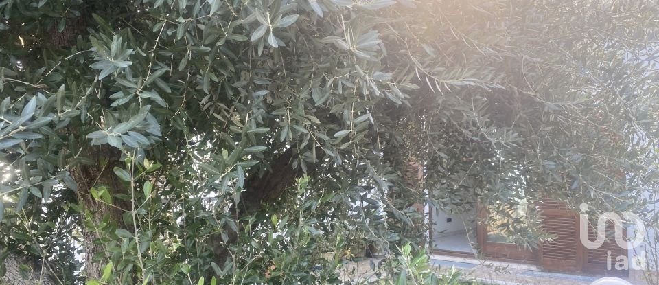 Casa indipendente / Villa 6 locali di 280 m² in San Benedetto del Tronto (63074)