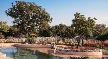 Trullo 10 locali di 380 m² in Cisternino (72014)