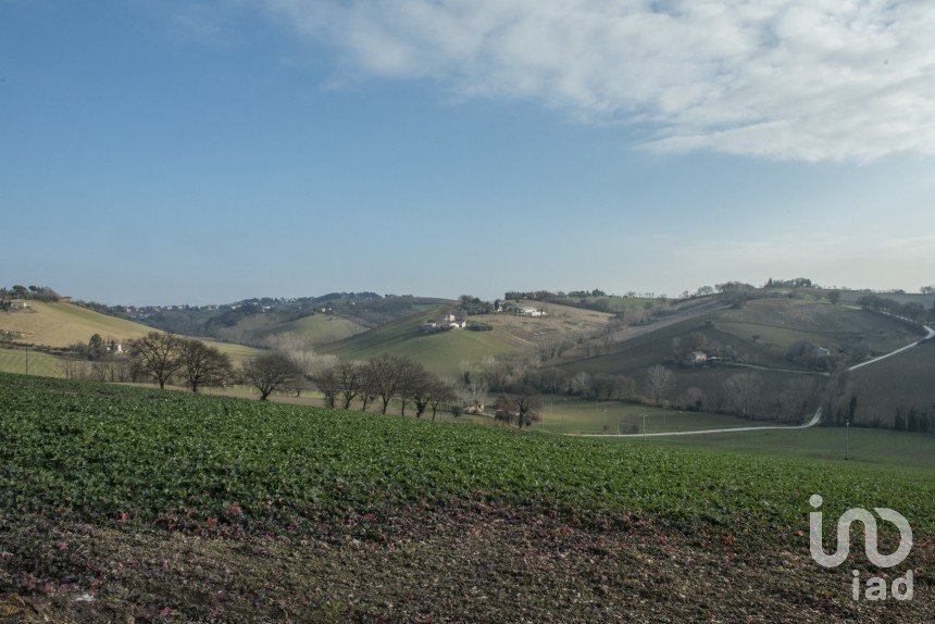 Land of 0 m² in Filottrano (60024)