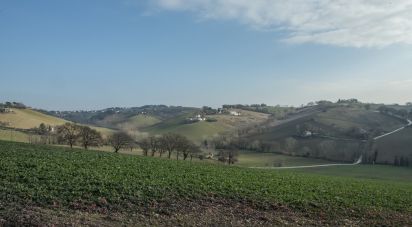 Terreno di 0 m² in Filottrano (60024)