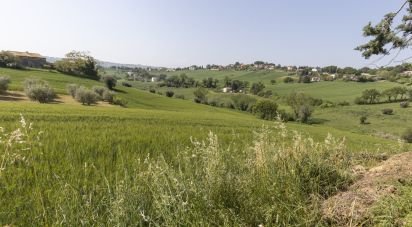 Terreno di 0 m² in Filottrano (60024)