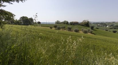 Terreno di 0 m² in Filottrano (60024)