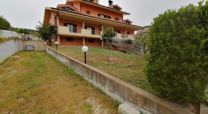 Villa Bifamiliare 11 locali di 450 m² in Pineto (64025)