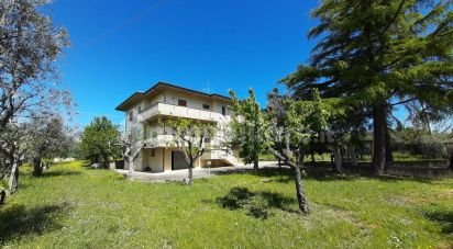 Casa indipendente / Villa 7 locali di 336 m² in Nereto (64015)