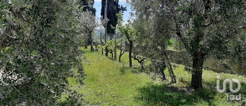 Casa indipendente / Villa 7 locali di 336 m² in Nereto (64015)