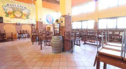 Birreria di 200 m² in Rivarolo Canavese (10086)