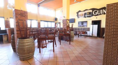 Birreria di 200 m² in Rivarolo Canavese (10086)