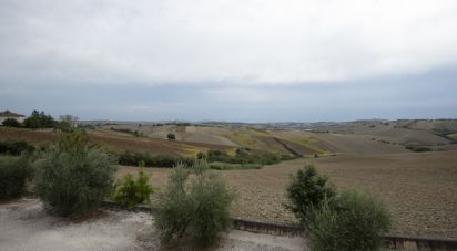 Land of 962 m² in Filottrano (60024)