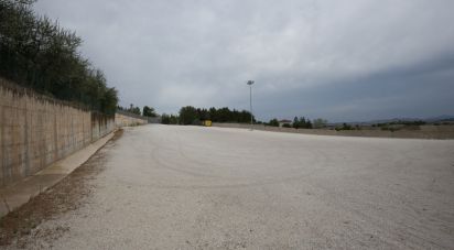 Land of 962 m² in Filottrano (60024)