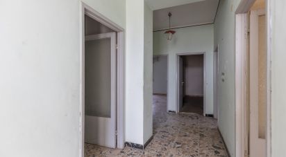 Apartment 5 rooms of 109 sq m in Filottrano (60024)