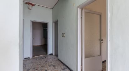 Apartment 5 rooms of 109 sq m in Filottrano (60024)
