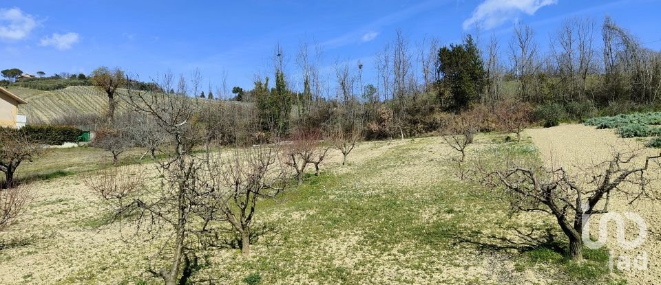 Casa indipendente / Villa 8 locali di 272 m² in Cossignano (63067)