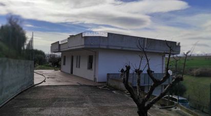 House/villa 12 rooms of 208 sq m in Morro d'Oro (64020)