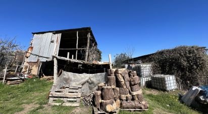 Casa indipendente / Villa 8 locali di 300 m² in Petritoli (63848)