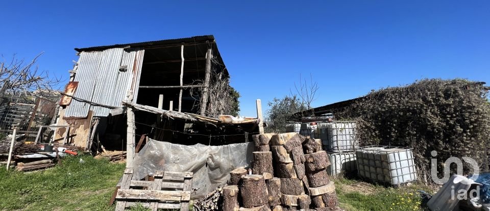 House 8 rooms of 300 m² in Petritoli (63848)