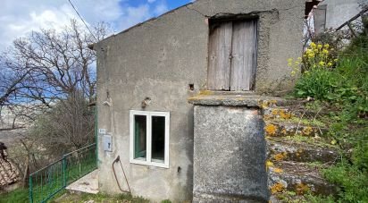 Village house 2 rooms of 40 sq m in Nocera Terinese (88040)