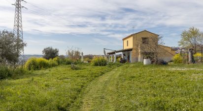 House/villa 0 rooms of 107 sq m in Osimo (60027)