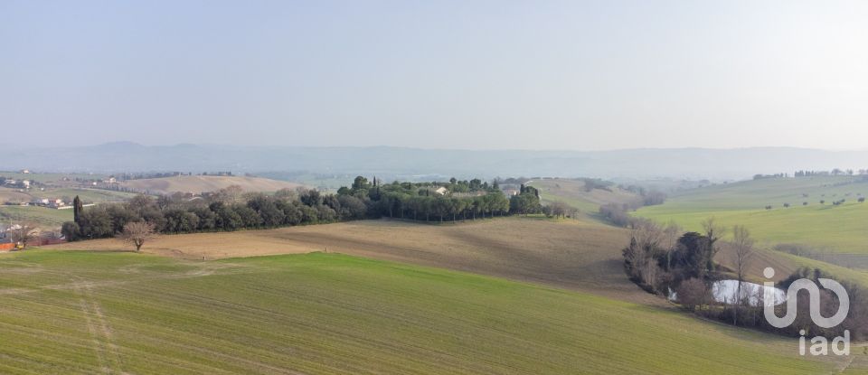 Terreno di 11.700 m² in Recanati (62019)