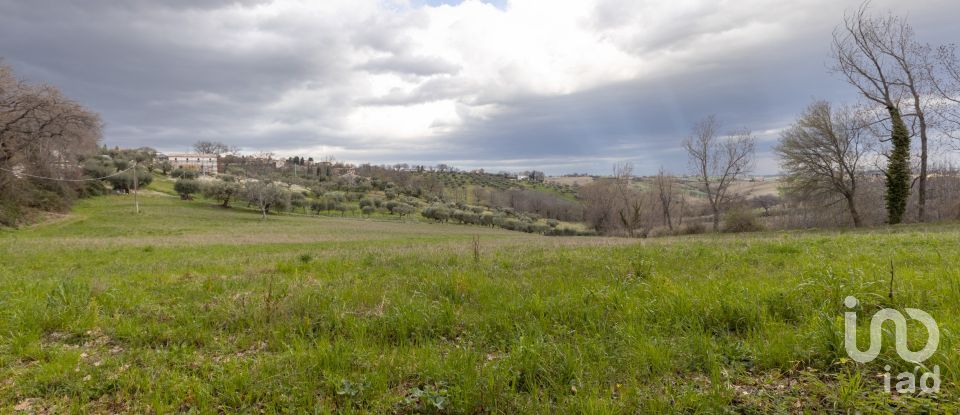 Land of 26,600 m² in Cingoli (62011)
