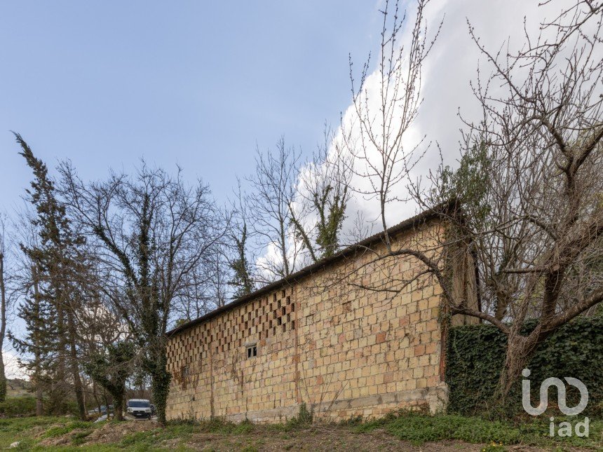 Varie superfici di 26.600 m² in Cingoli (62011)