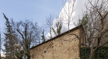 Varie superfici di 26.600 m² in Cingoli (62011)