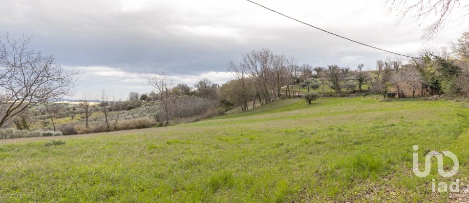 Land of 26,600 m² in Cingoli (62011)