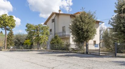 Town house 8 rooms of 310 sq m in Osimo (60027)
