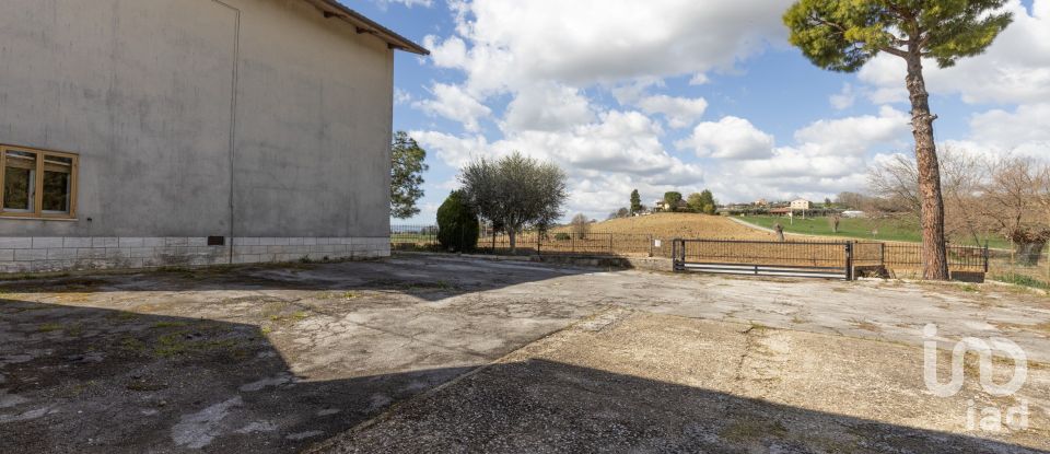 Town house 8 rooms of 310 m² in Osimo (60027)