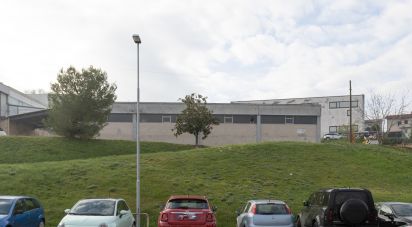 Capannone di 435 m² in Filottrano (60024)