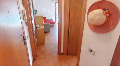 Two-room apartment of 44 sq m in Rosignano Marittimo (57016)