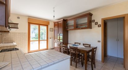 Villa a schiera 8 locali di 250 m² in Filottrano (60024)