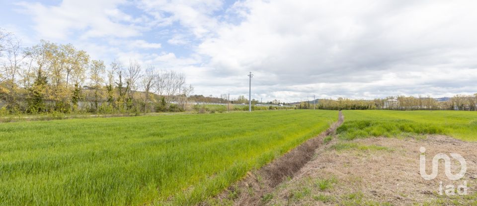Land of 74,000 m² in Camerano (60021)